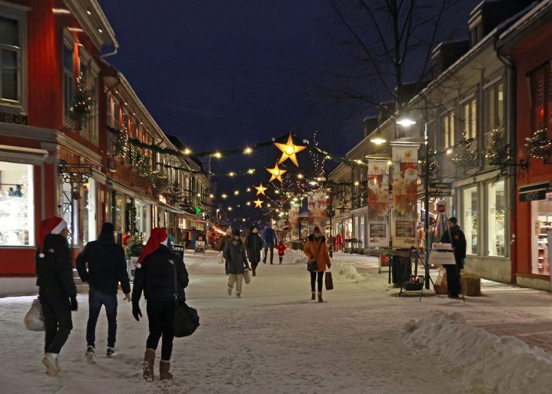 Fysiske møter i Lillehammer Rotaryklubb er avlyst, foreløpig fram til 11. januar 2022.