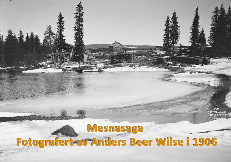 Fotografen Anders Beer Wilse og lokalhistoriske bilder fra Lillehammerområdet var temaet Rotaryklubben tirsdag kveld.