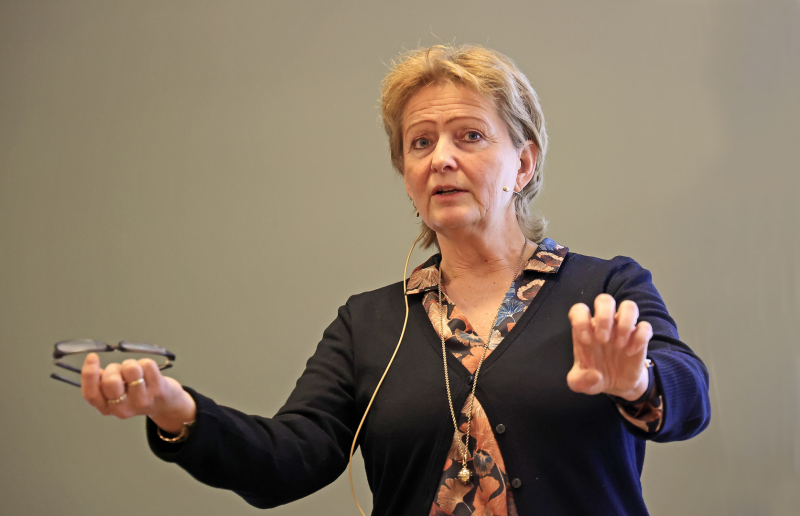 30 tilhørere fikk gode råd om plassering av sparepengene under tirsdagen møte i Lillehammer Rotary